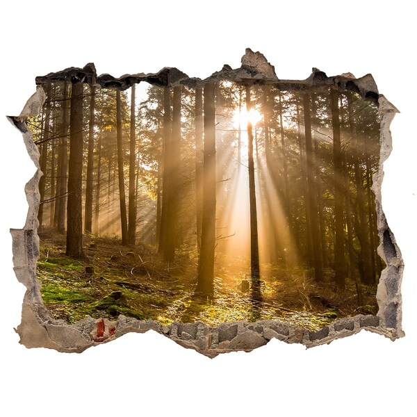 3D wall hole Forest oasis of light