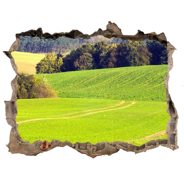 Hole wall sticker Green meadow behind the wall