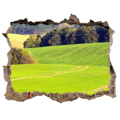 Hole wall sticker Green meadow behind the wall