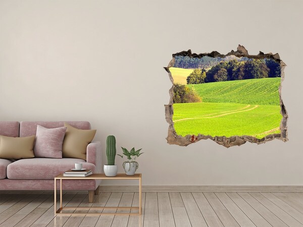 Hole wall sticker Green meadow behind the wall