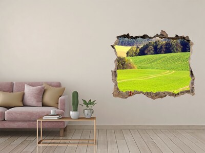Hole wall sticker Green meadow behind the wall