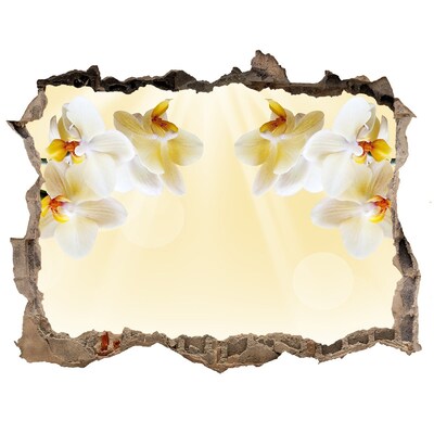 Hole wall sticker Orchid