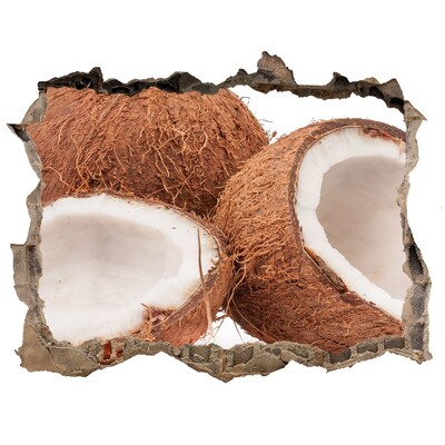 Hole wall sticker Coconut Treasures