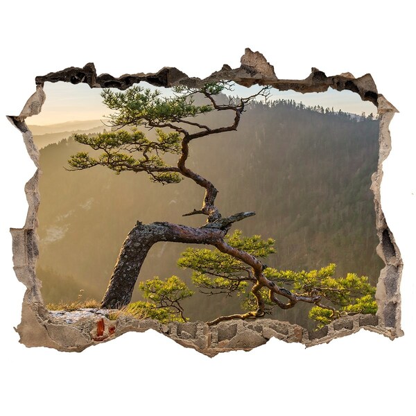 Hole wall sticker Mountain landscape with a tree