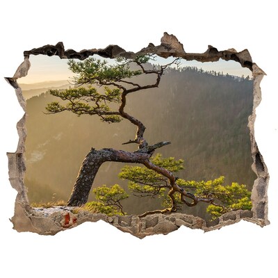 Hole wall sticker Mountain landscape with a tree