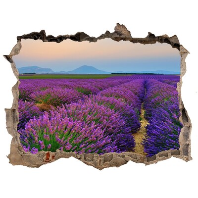 Hole in the wall decal Lavender field