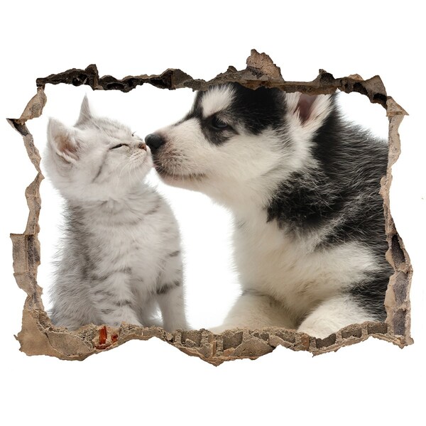 Hole in the wall sticker Dog and cat