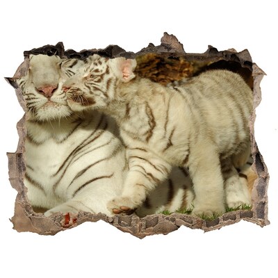 Hole in the wall sticker White tigers in nature