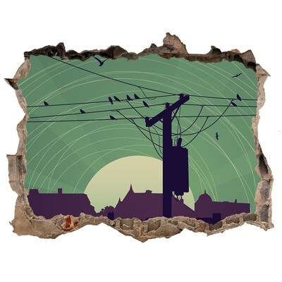 Hole in the wall decal Birds city