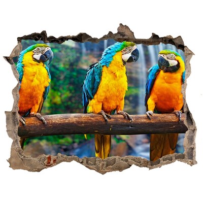 3D wall hole wallpaper Parrots on a branch