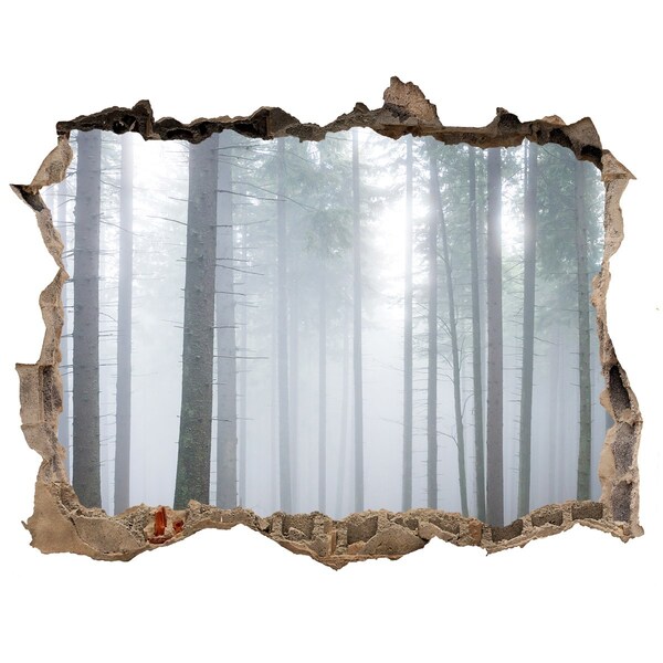 3D wall hole Misty forest