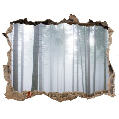 3D wall hole Misty forest