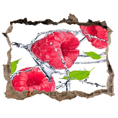 3D wall hole Raspberry Waterfall