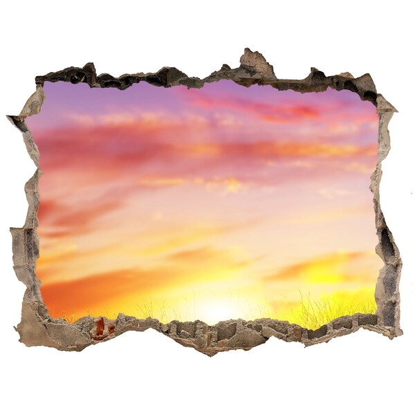 3D wall hole Sunset over the meadow