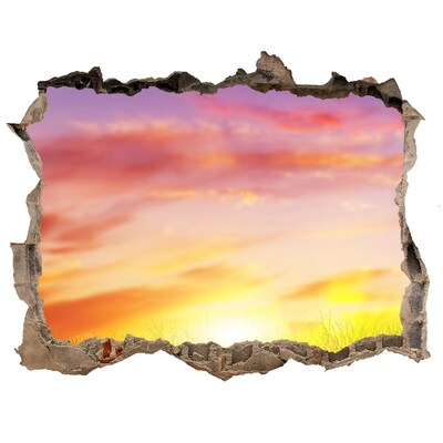 3D wall hole Sunset over the meadow
