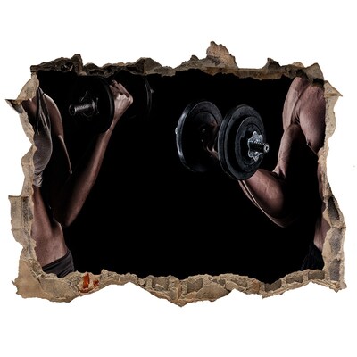 Hole in the wall decal Muscle structure