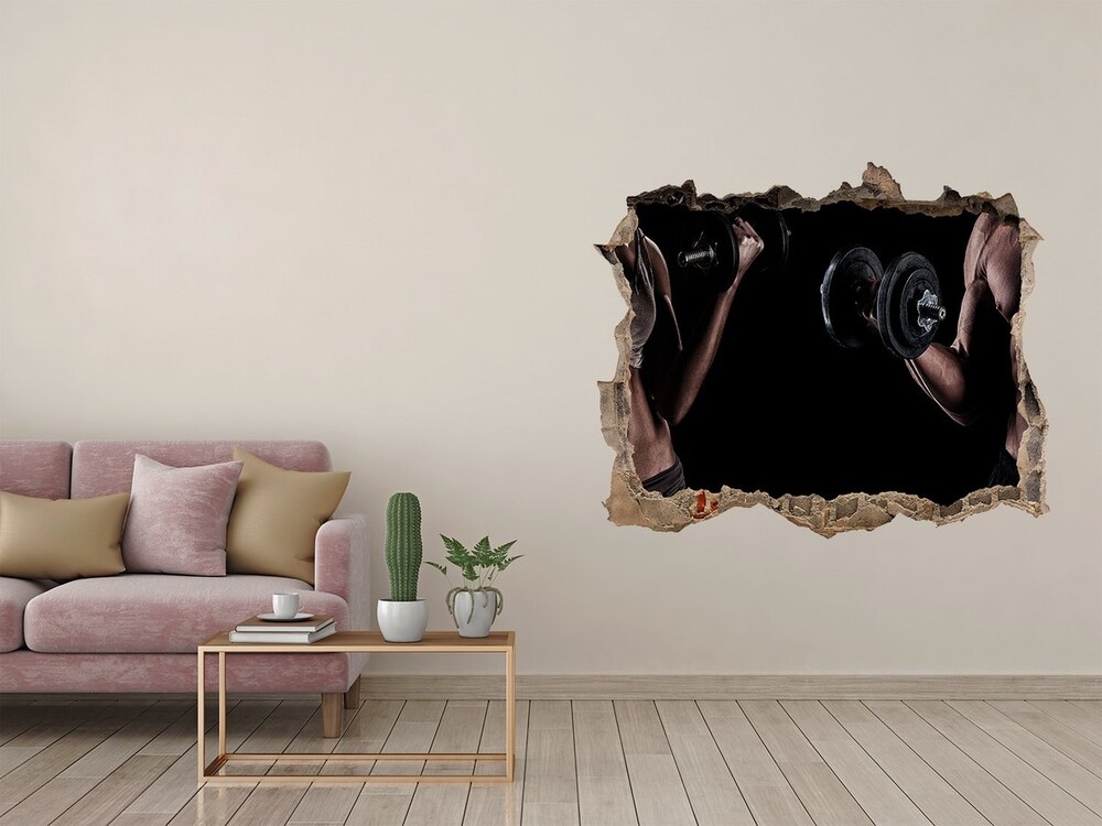 Hole in the wall decal Muscle structure