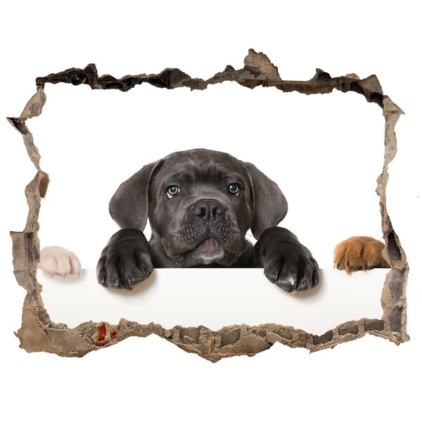 Hole in the wall sticker Sweet puppy from behind the wall