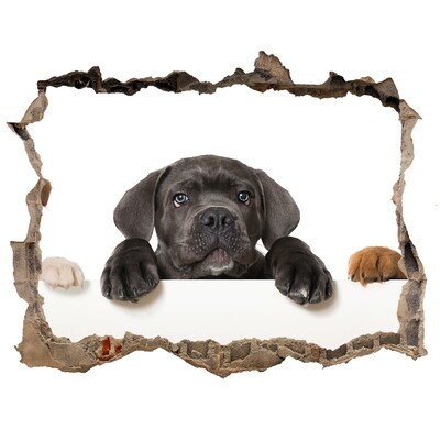 Hole in the wall sticker Sweet puppy from behind the wall
