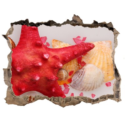 Hole wall sticker Underwater world with shells