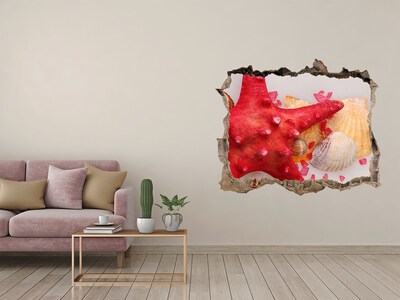 Hole wall sticker Underwater world with shells