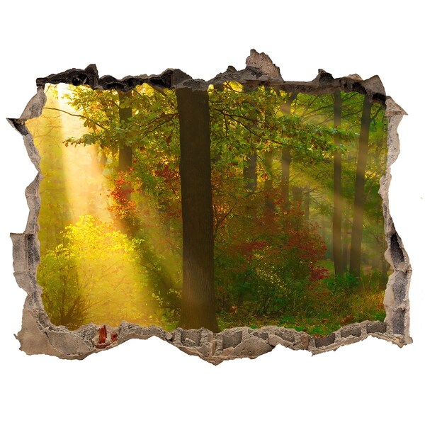 Hole in the wall sticker Autumn forest scenery