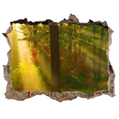 Hole in the wall sticker Autumn forest scenery