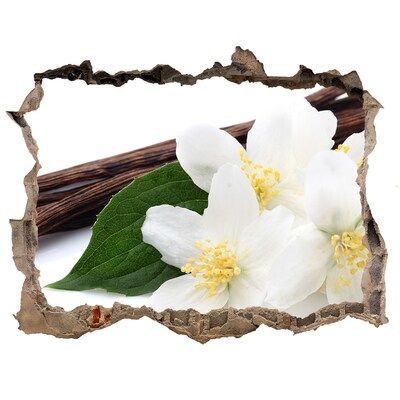 Hole in the wall sticker Jasmine flowers in concrete
