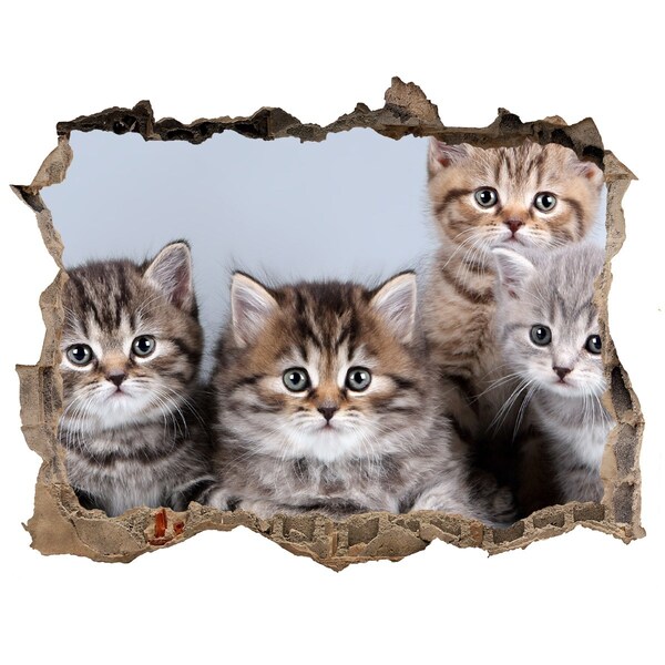Hole wall sticker Kittens in a hole in the wall