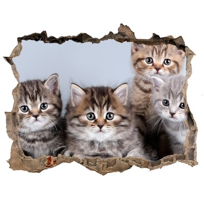 Hole wall sticker Kittens in a hole in the wall