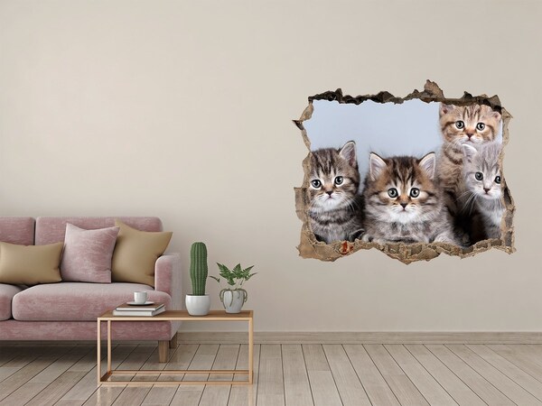 Hole wall sticker Five cats