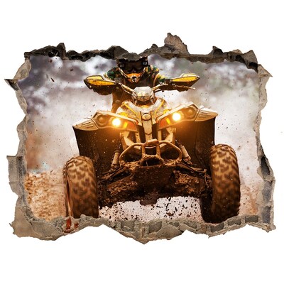 Hole in the wall decal Rally quad in action