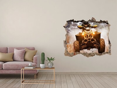 Hole in the wall decal Quad