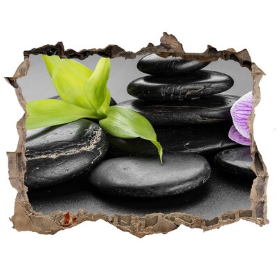 3D wall hole A relaxing view with stones and plants