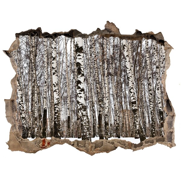 Hole wall sticker Winter birch forest
