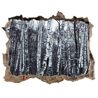 3D wall hole Winter birch forest