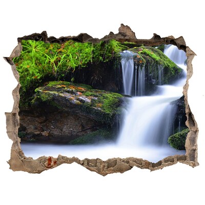 3D wall hole Waterfall in the forest