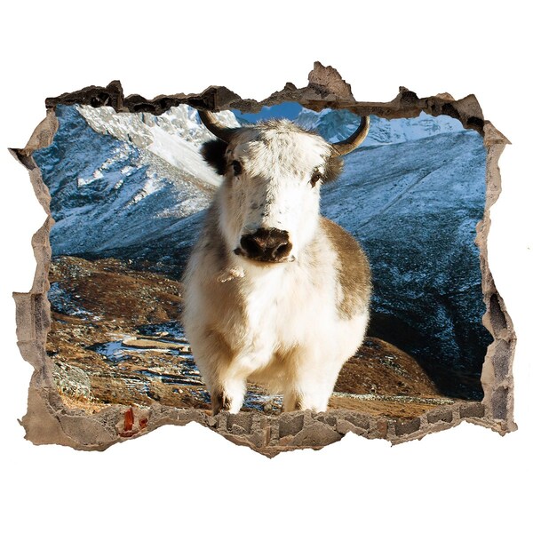 Hole wall sticker Mountain Buffalo in a Hole in the Wall