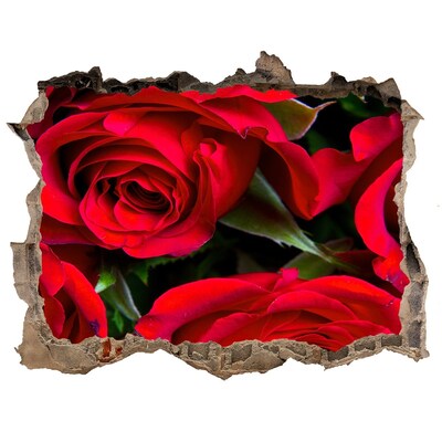 Hole in the wall sticker Red roses