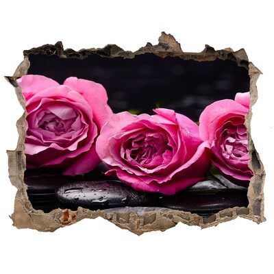 Hole in the wall decal Pink roses