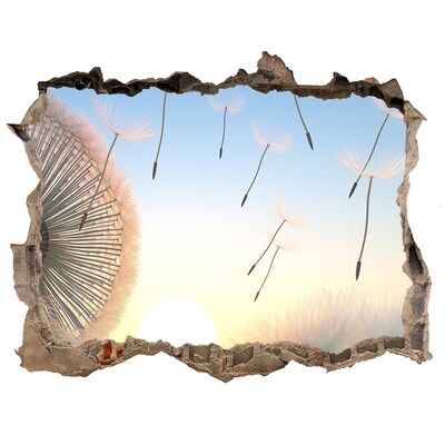 Hole in the wall decal Dandelions against the sunset background
