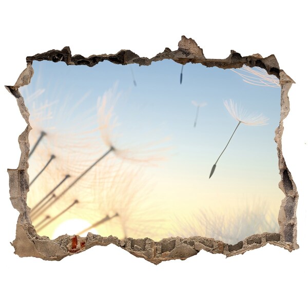 Hole in the wall decal Flower landscape at sunrise