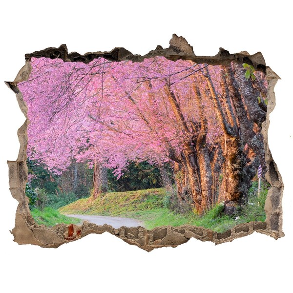 3D wall hole wallpaper A spring walk among the blooming trees