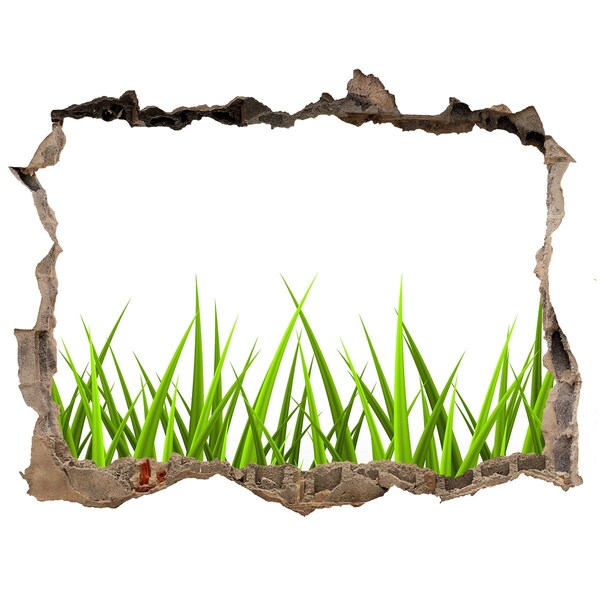 Hole wall sticker Grass