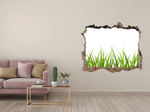 Hole wall sticker A green meadow behind the wall