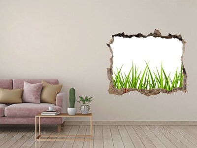Hole wall sticker A green meadow behind the wall