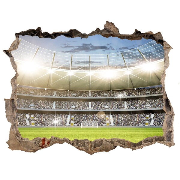 Hole wall sticker Stadium