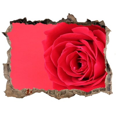 Hole wall sticker Red rose