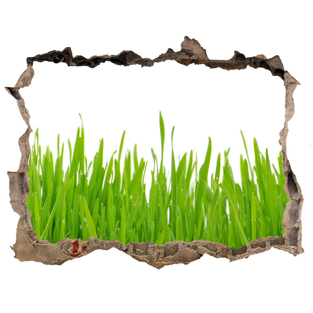 Hole wall sticker Grass