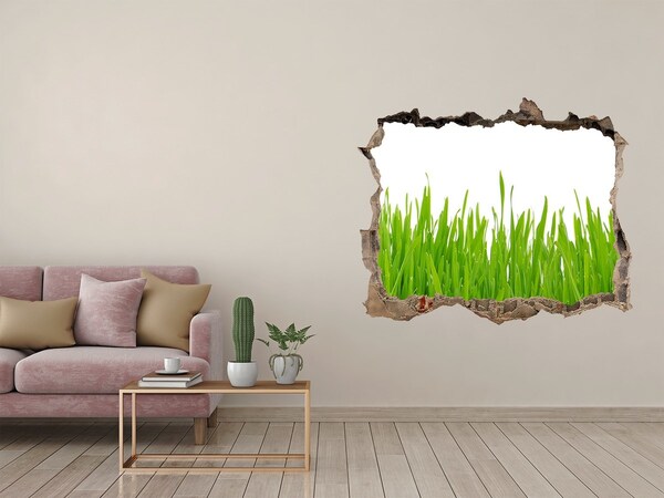 Hole wall sticker A green meadow behind the wall